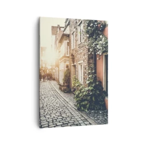 Obraz na plátně - Růžová ulička v růžové září - 70x100 cm