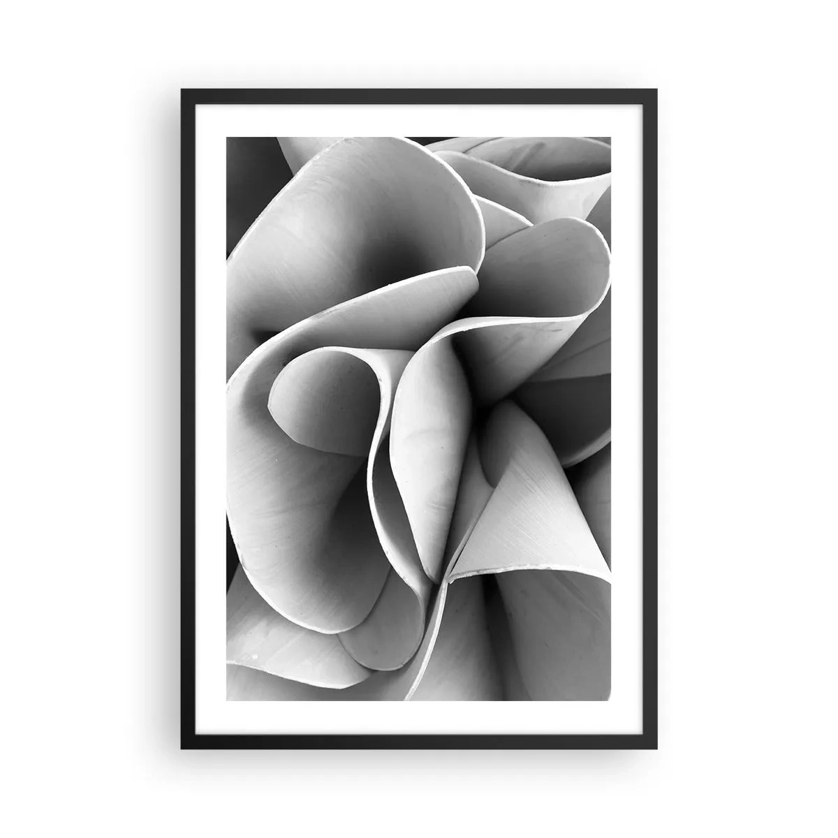 Plakát v černém rámu - Abstraktní okvětní lístky v odstínech šedé - 50x70cm - Děje se ve vesmíru - Moderní nástěnná dekorace do obývacího pokoje a ložnice ARTTOR