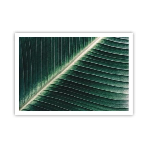 Plakát - Rytmus přírody - 100x70 cm