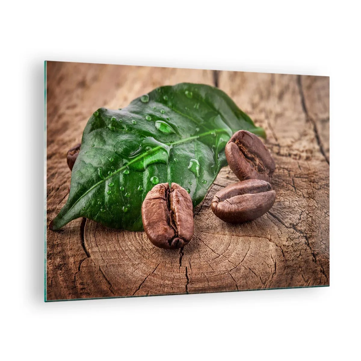 Obraz na skle - Kávová zrna na listu a dřevěném pozadí - 70x50cm - Nejskutečnější a černá - Moderní nástěnná dekorace do obývacího pokoje a ložnice ARTTOR