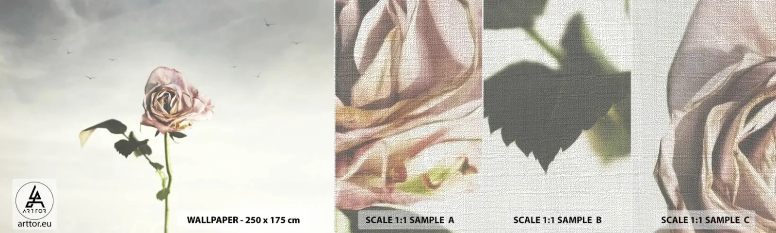 Vzor Fototapety Premium Canvas - Vítání jara - Růže, Květ, Kus - 100x30 cm