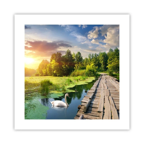 Plakát - Léto, léto všude - 40x40 cm