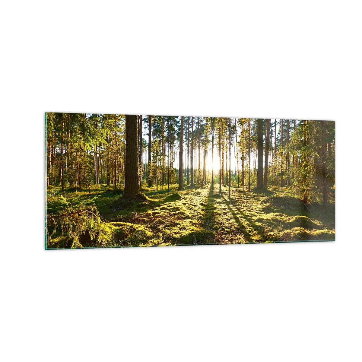 Obraz na skle - …Za sedmero lesy - 100x40 cm