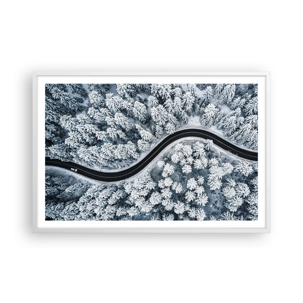 Plakát v bílém rámu - Zimním lesem - 91x61 cm