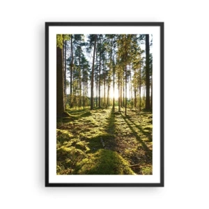 Plakát v černém rámu - Zelený les ráno s paprsky vycházejícího slunce - 50x70cm - …Za sedmero lesy - Moderní nástěnná dekorace do obývacího pokoje a ložnice ARTTOR