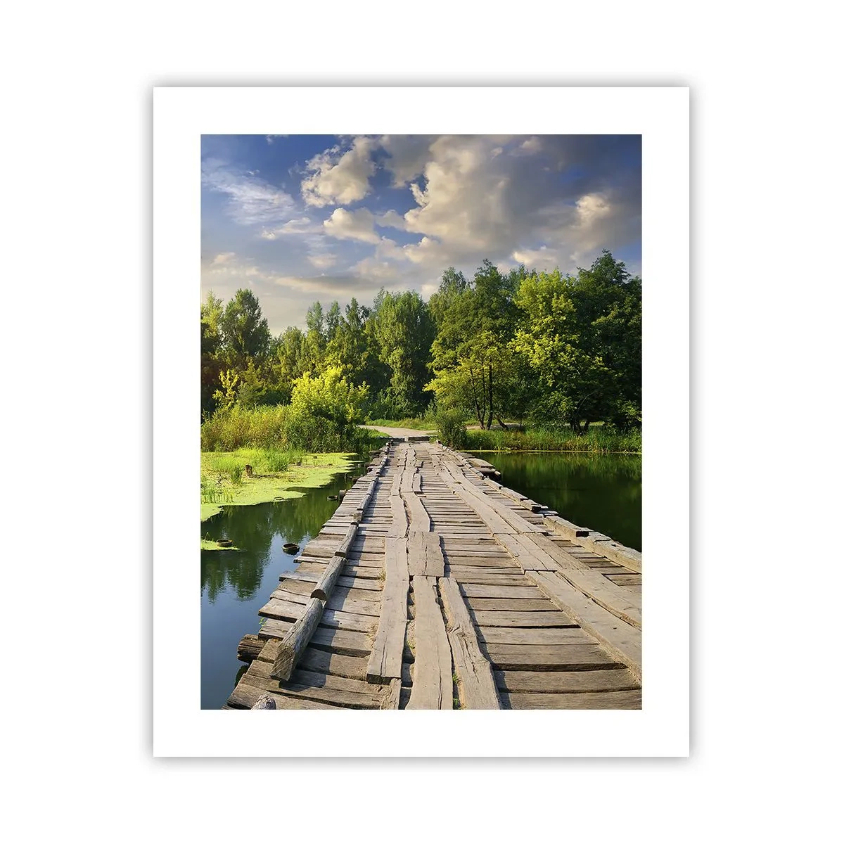 Plakát - Léto, léto všude - 40x50 cm