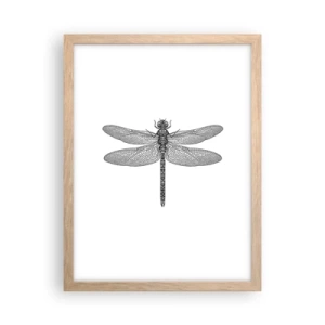 Plakát v rámu světlý dub - Přesnost přírody - 30x40 cm