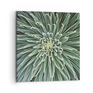 Obraz na plátně - Zrození hvězdy - 70x70 cm