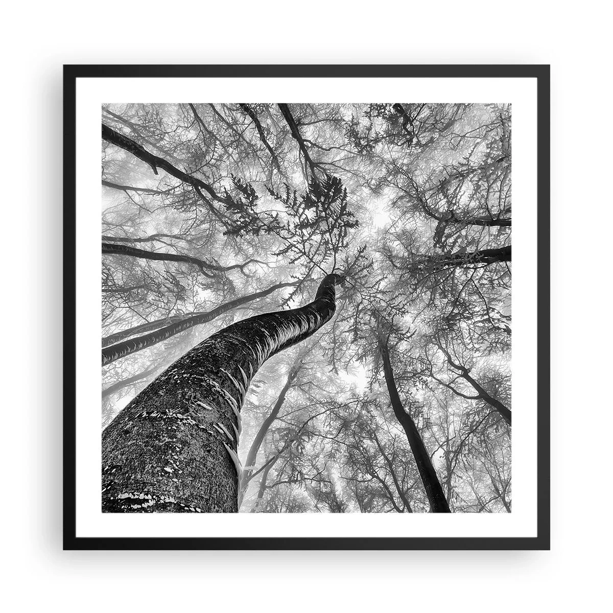 Plakát v černém rámu - Závod ke světlu - 60x60 cm