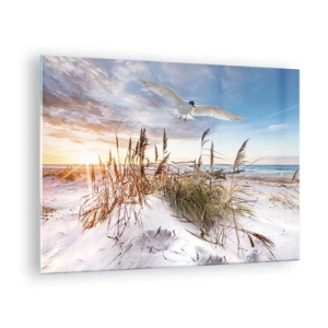 Obraz na skle - Pták letící nad dunami při západu slunce - 70x50cm - Vítr od moře - Moderní nástěnná dekorace do obývacího pokoje a ložnice ARTTOR