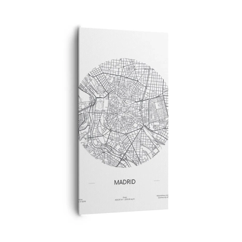 Obraz na plátně - Anatomie Madridu - 65x120 cm