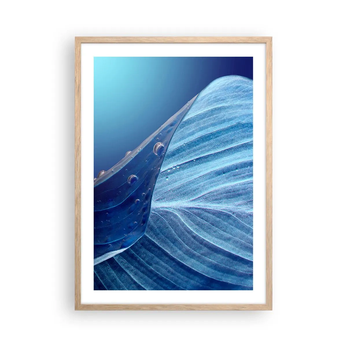 Plakát v rámu světlý dub - Skryté kapky modři - 50x70 cm
