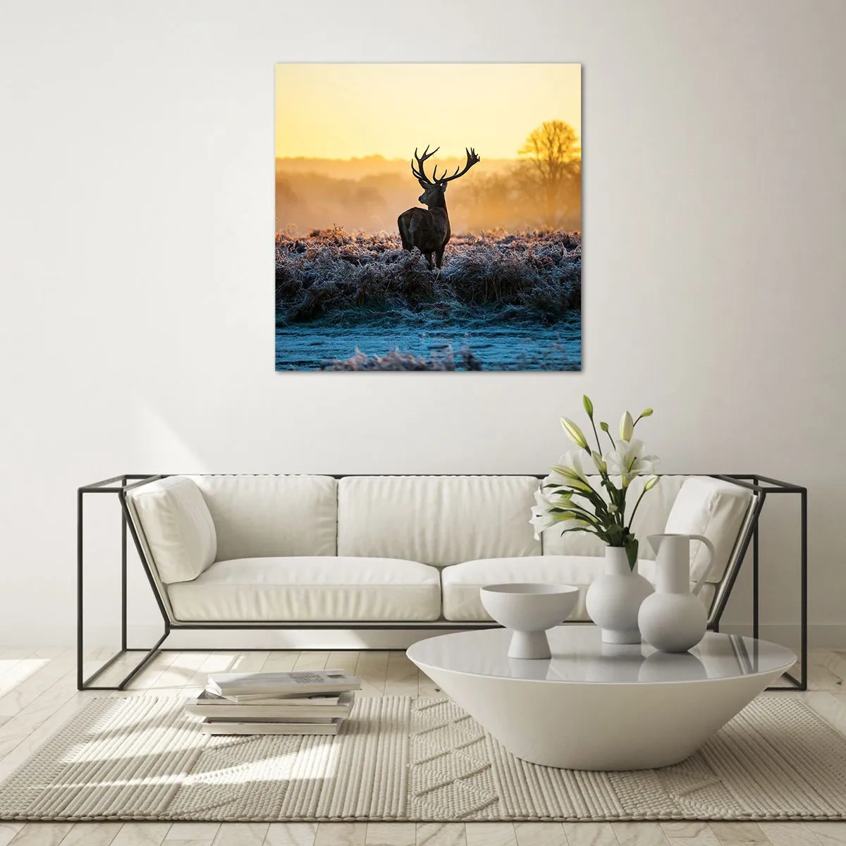 Obraz na skle - Korunován na svém panství - 50x50 cm