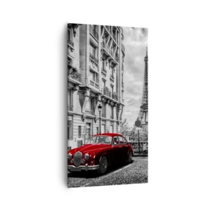 Obraz na plátně - Dravec ve městě - 55x100 cm