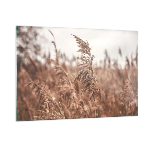 Obraz na skle - Na polích už je podzim - 120x80 cm