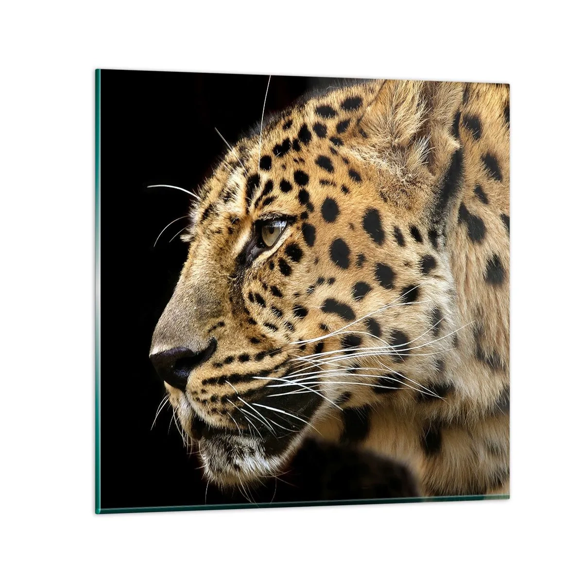 Obraz na skle - Klidný, soustředěný, připravený - 40x40 cm