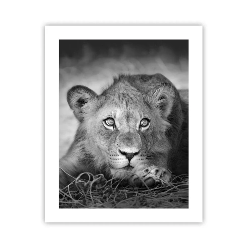 Plakát - Královské štěně - 40x50 cm