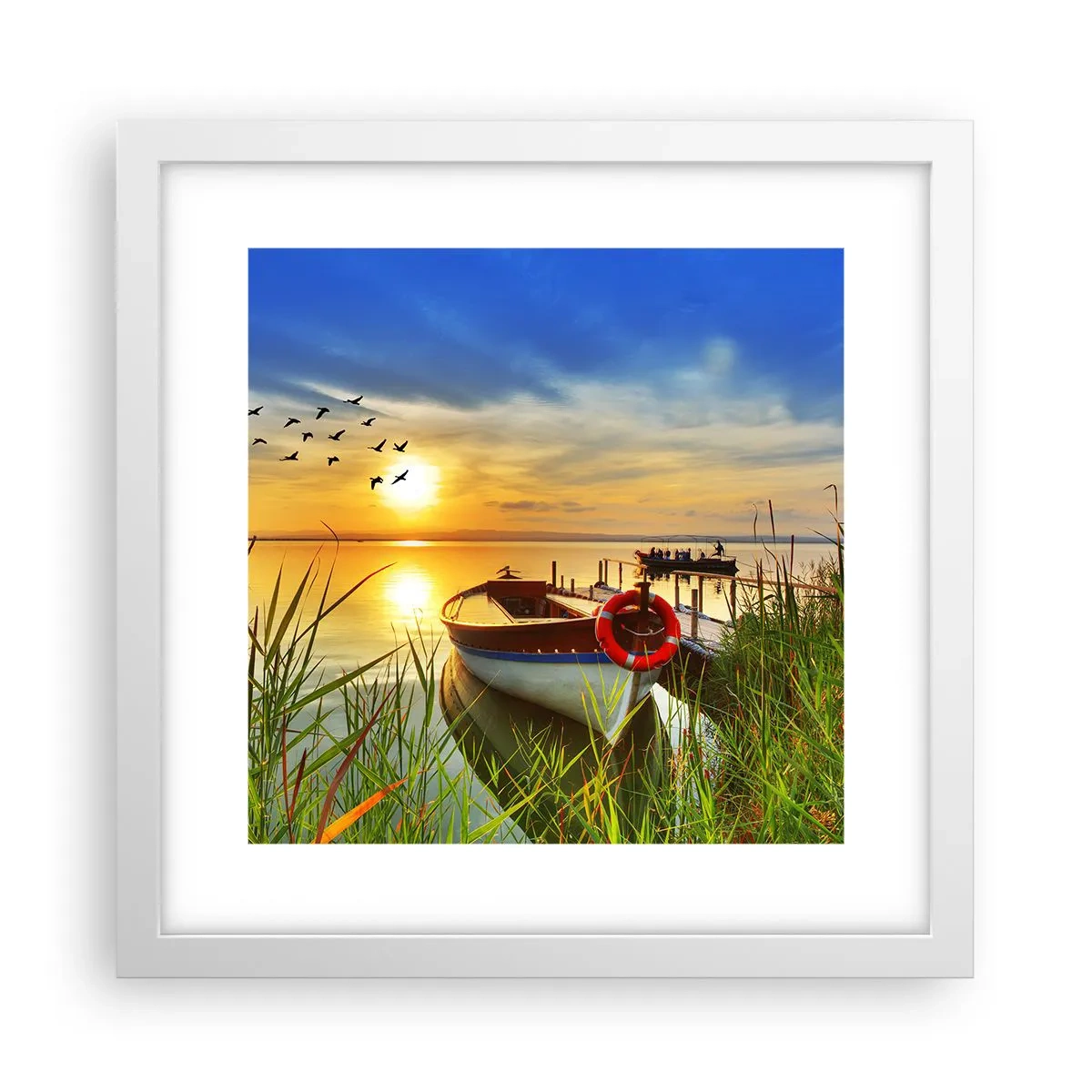 Plakát v bílém rámu - Kormoráni už odlétají - 30x30 cm