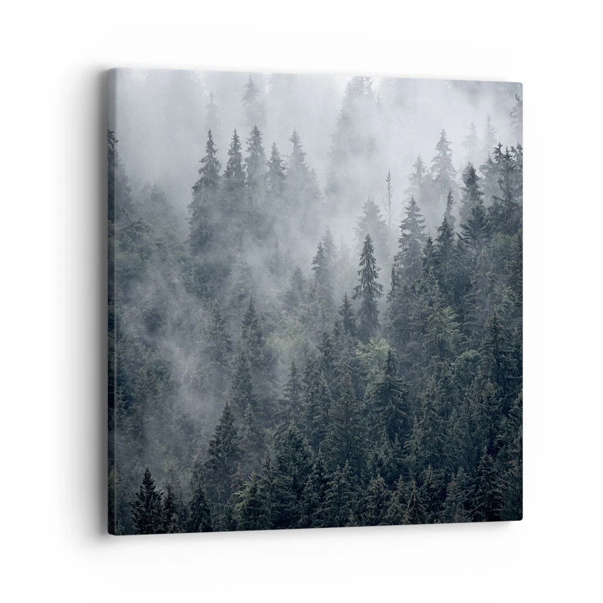 Obraz na plátně - Lesní svítání - 40x40 cm