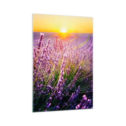 Obraz na skle - Voňavý lán - 70x100 cm