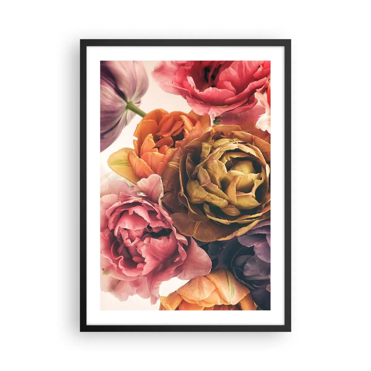 Plakát v černém rámu - Barevné květy pivoňky v uměleckém přístupu - 50x70cm - Oslava života - Moderní nástěnná dekorace do obývacího pokoje a ložnice ARTTOR