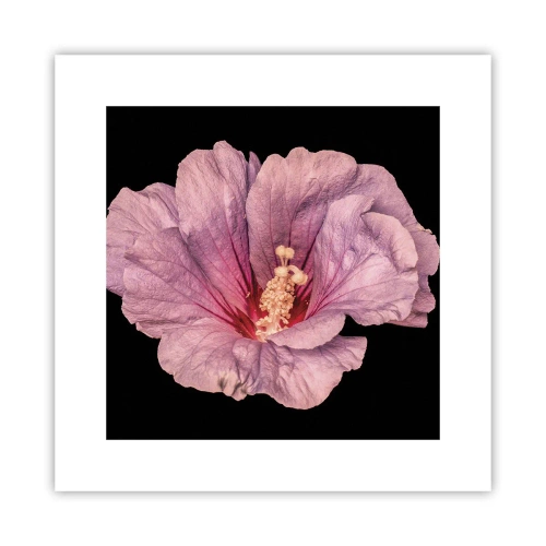 Plakát - Přímo do srdce - 30x30 cm