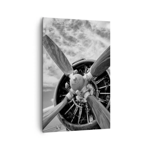 Obraz na plátně - Dobyvatel oblohy - 80x120 cm