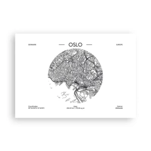Plakát - Anatomie Osla - 100x70 cm