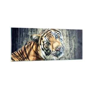 Obraz na skle - Portrét v pramenech světla - 100x40 cm
