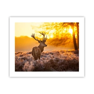 Plakát - Král podzimního lesa - 50x40 cm