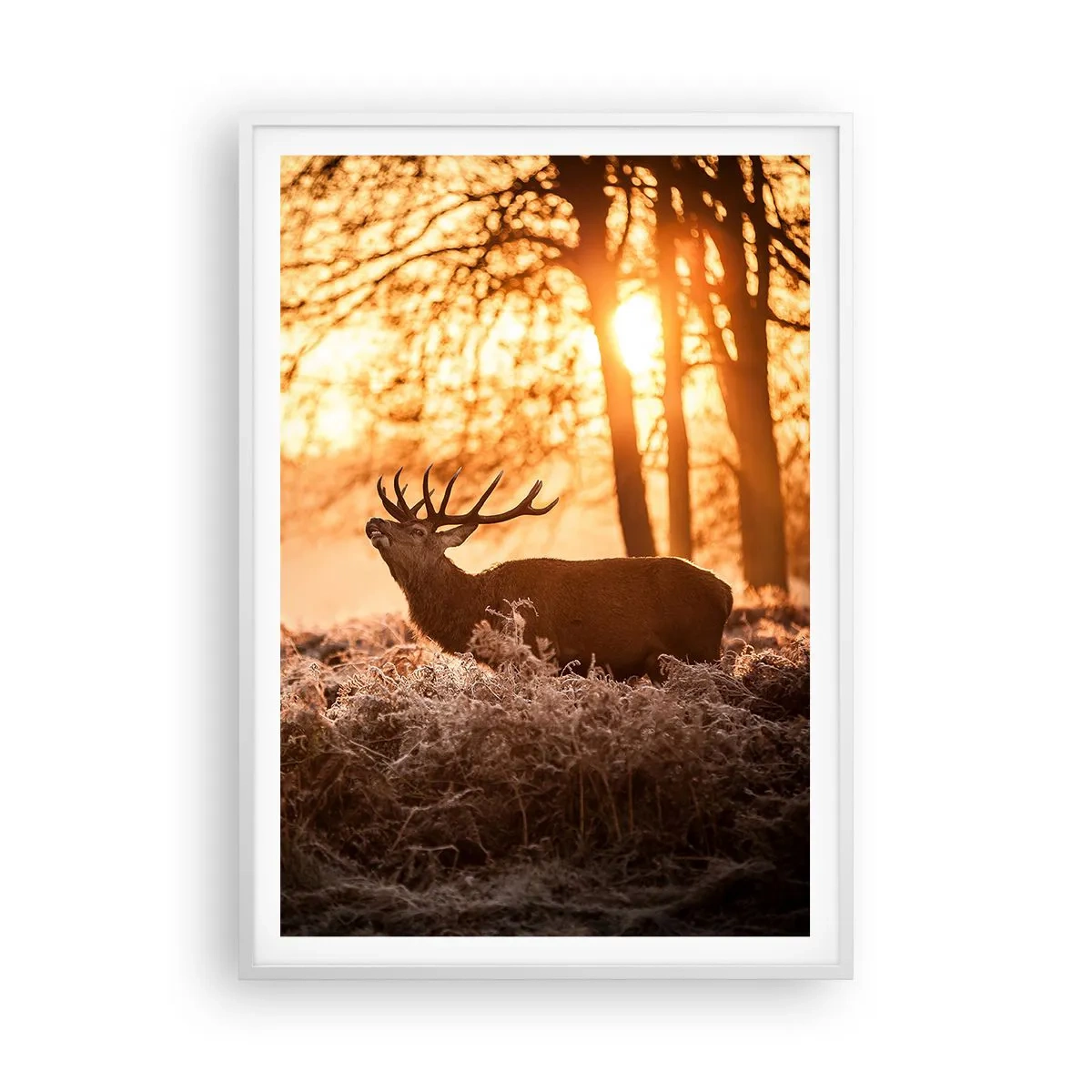 Plakát v bílém rámu - Sen myslivce - 70x100 cm