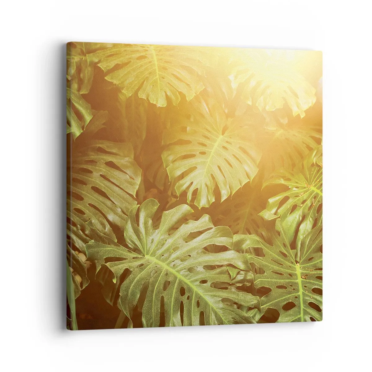 Obraz na plátně - Vstoupit do zeleně… - 40x40 cm