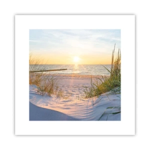 Plakát - Šumění moře, zpěv ptáků, divoká pláž uprostřed trávy… - 30x30 cm