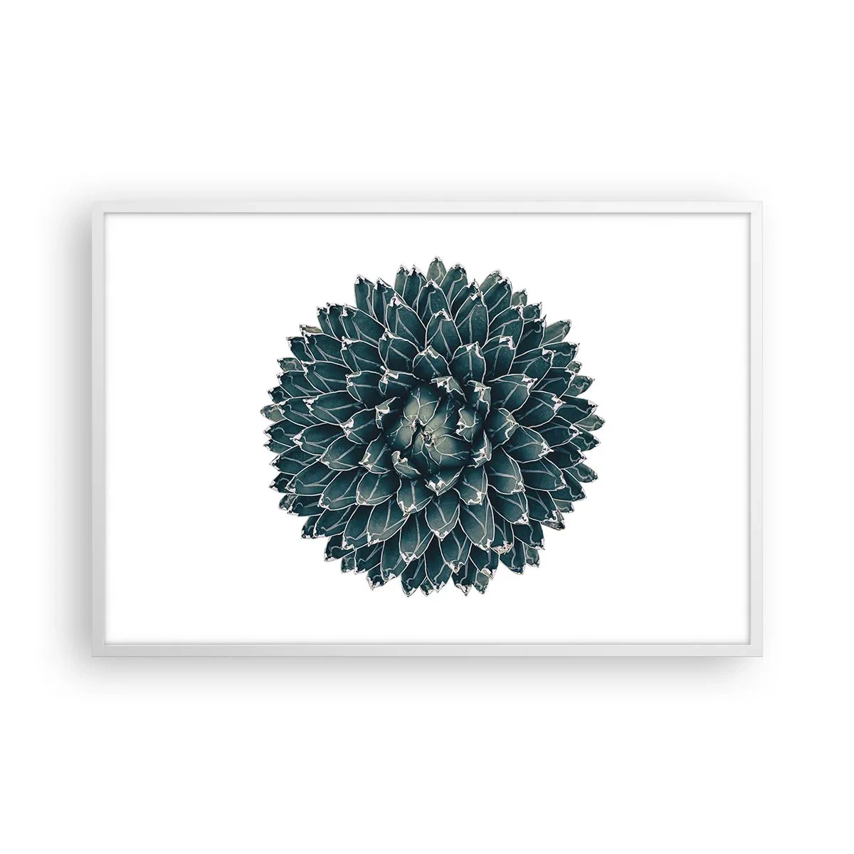 Plakát v bílém rámu - Hvězda pouště - 91x61 cm