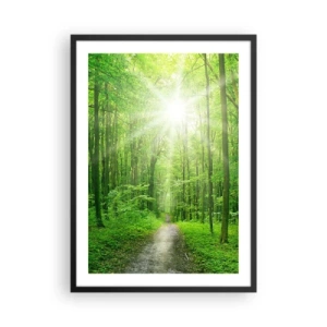 Plakát v černém rámu - Lesní cesta ozářená slunečními paprsky - 50x70cm - Zelená katedrála - Moderní nástěnná dekorace do obývacího pokoje a ložnice ARTTOR