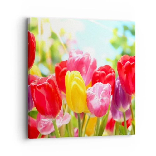 Obraz na plátně - To jsme my, barvy května! - 40x40 cm