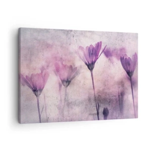 Obraz na plátně - Jemné květiny v odstínech fialové na světlém pozadí - 70x50cm - Sen květin - Moderní nástěnná dekorace do obývacího pokoje a ložnice ARTTOR