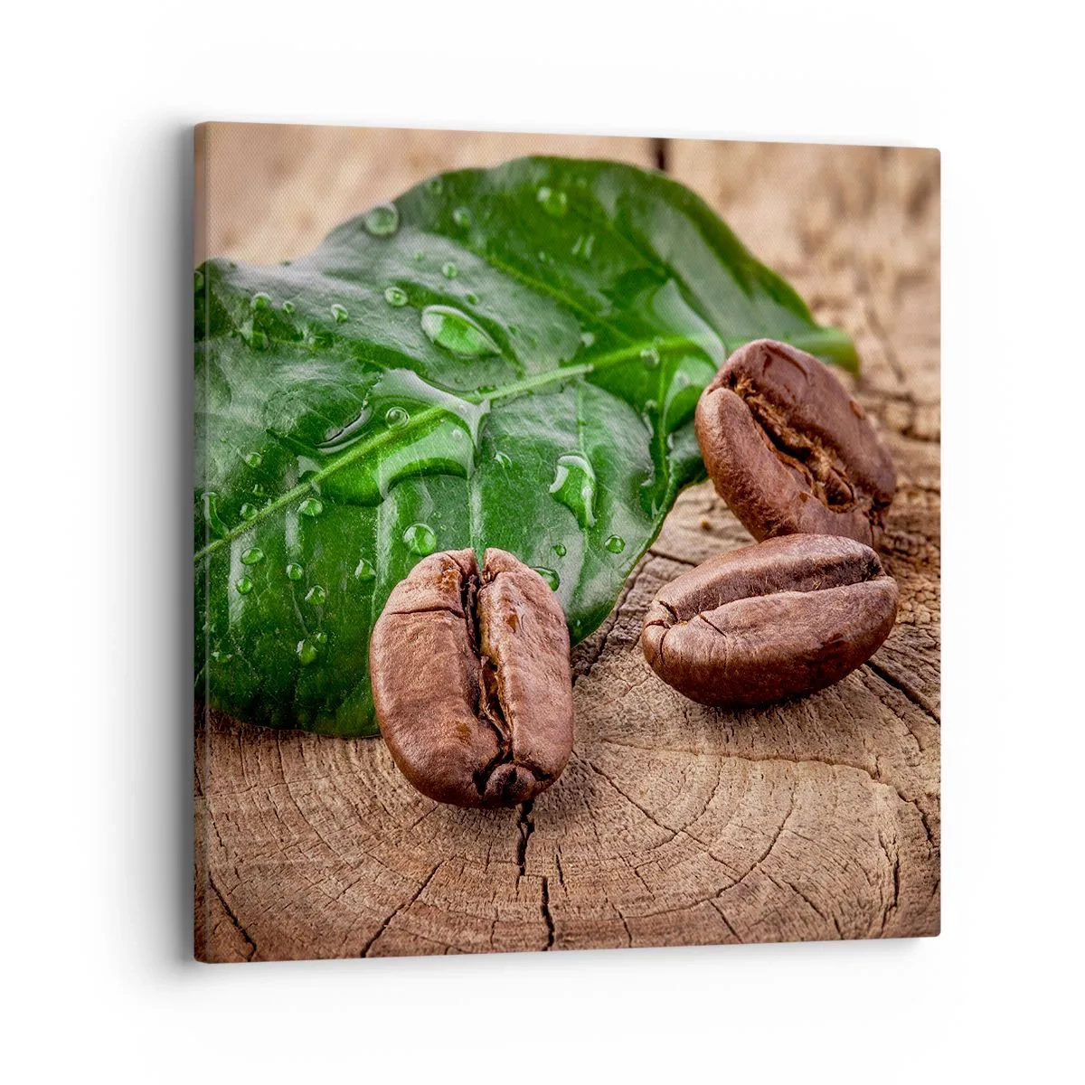 Obraz na plátně - Nejskutečnější a černá - 40x40 cm