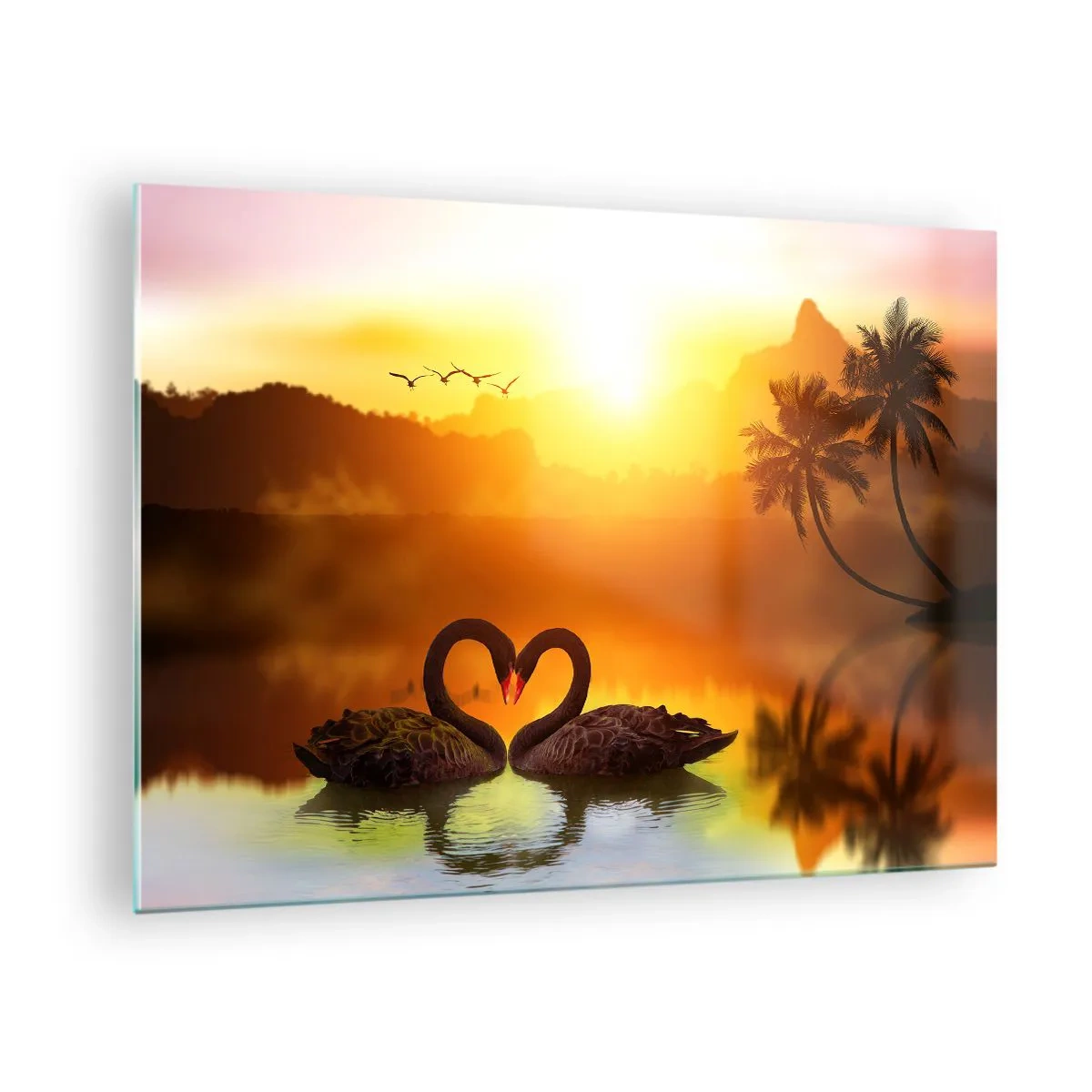Obraz na skle - Černé labutě na jezeře při západu slunce - 70x50cm - Všechno do páru - Moderní nástěnná dekorace do obývacího pokoje a ložnice ARTTOR