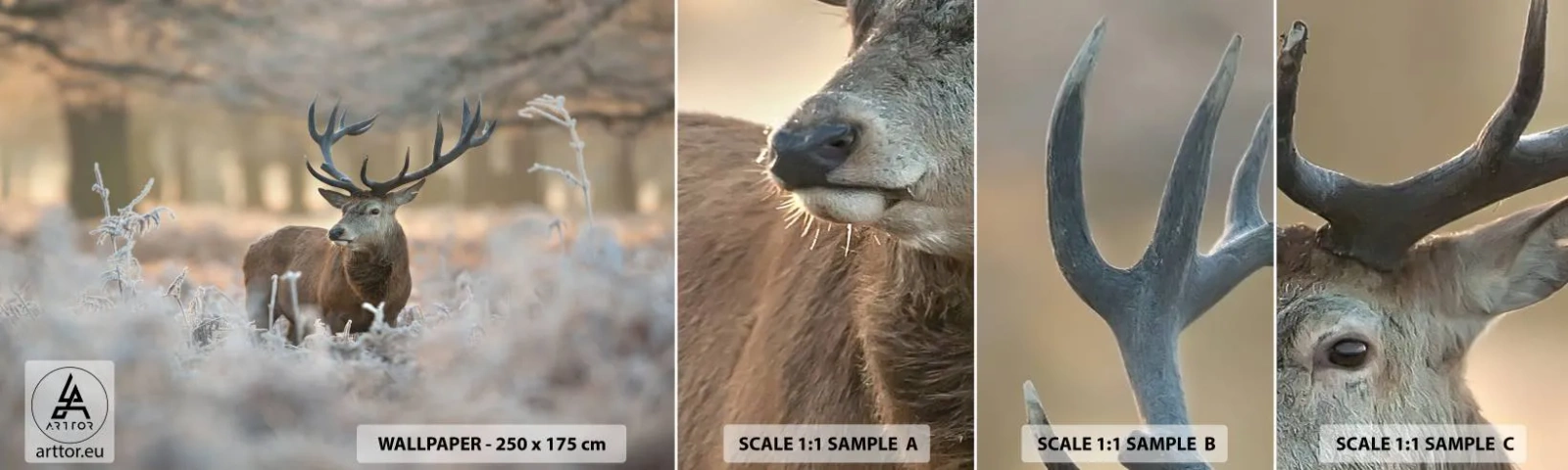 Fototapeta Vzorek Standard Eco - Svěží ráno - Krajina, Jelen, Zvířata - 100x30 cm