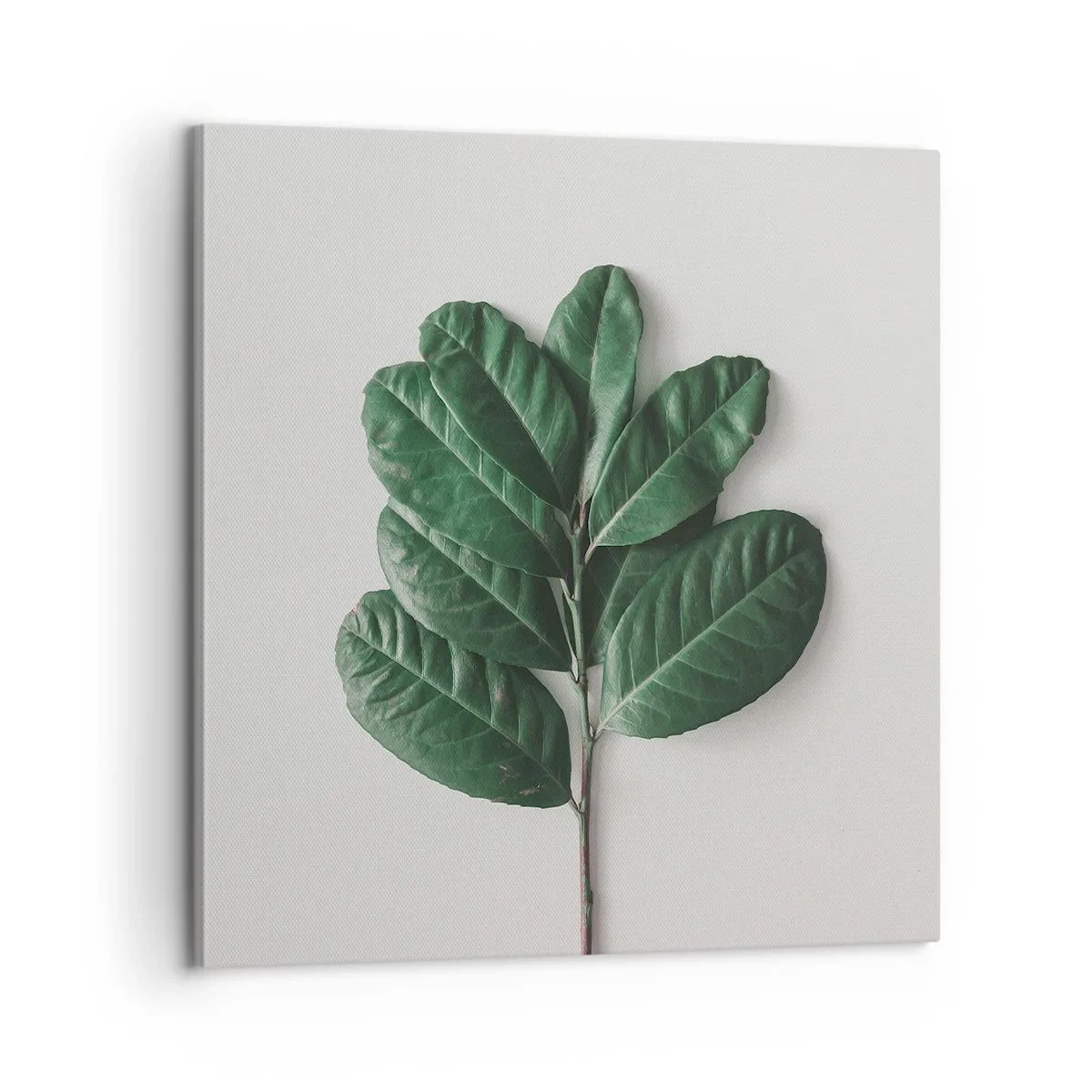 Obraz na plátně - Kresba samotné přírody - 60x60 cm