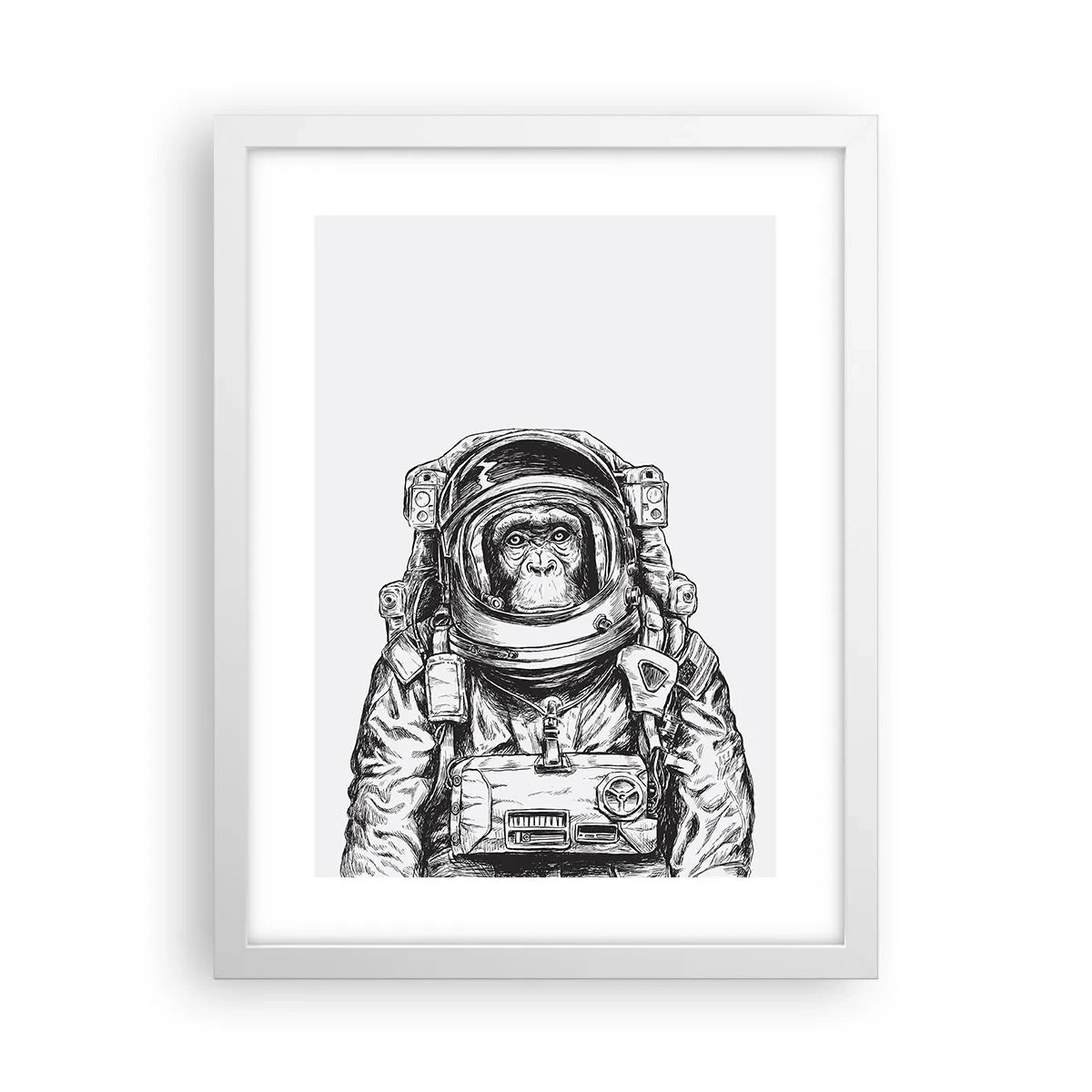 Plakát v bílém rámu - Alternativní vývoj - 30x40 cm