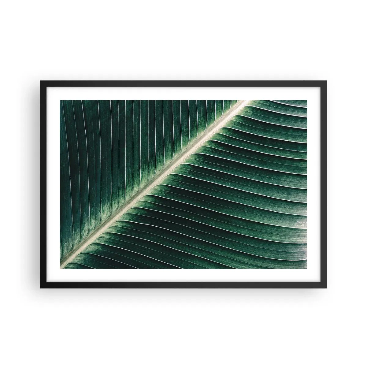 Plakát v černém rámu - Rytmus přírody - 70x50 cm