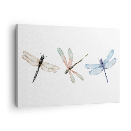 Obraz na plátně - Tři vážky v jemných pastelových barvách - 70x50cm - Beztížné vážky - Moderní nástěnná dekorace do obývacího pokoje a ložnice ARTTOR