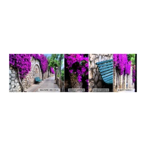 Vzor Fototapety Samolepicí Deluxe Sticker - Setkejme se co nejrychleji - Město, Květiny, Itálie - 100x30 cm