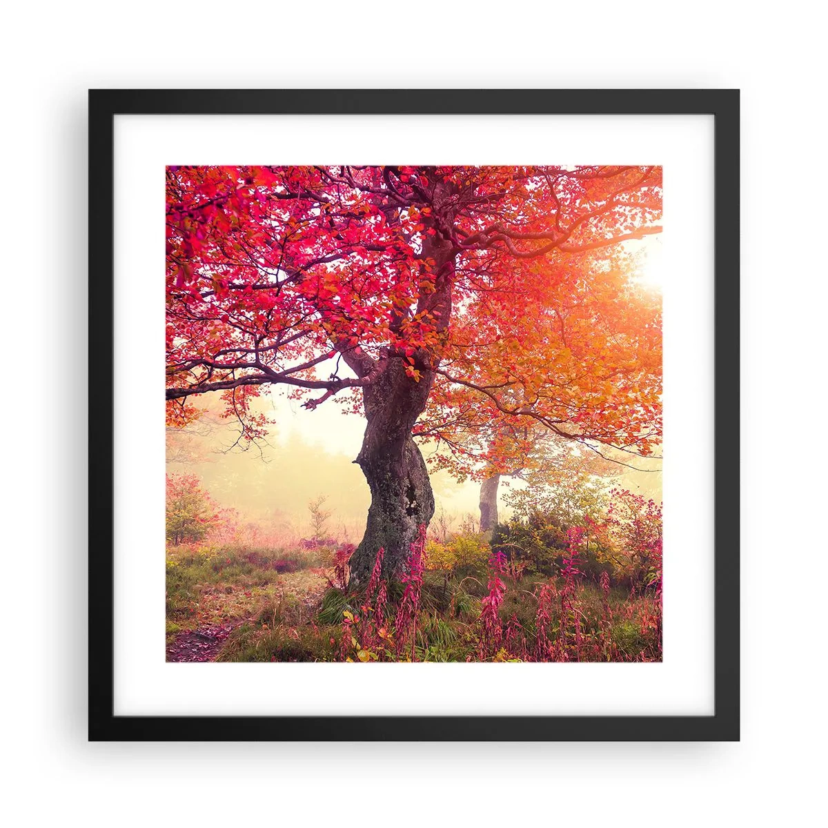 Plakát v černém rámu - Šílenství rozkvětu - 40x40 cm