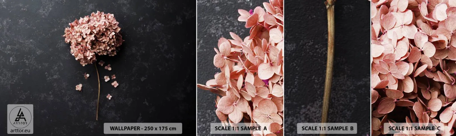 Fototapeta Vzorek Standard Eco - Skutečně romantické znamení - Květ, Hortenzie, Příroda - 100x30 cm