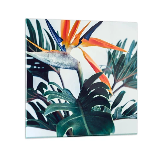 Obraz na skle - Ptákeř - 50x50 cm