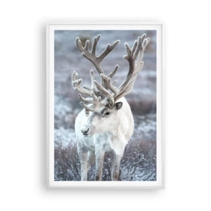 Plakát v bílém rámu - Sluneční portrét - 70x100 cm