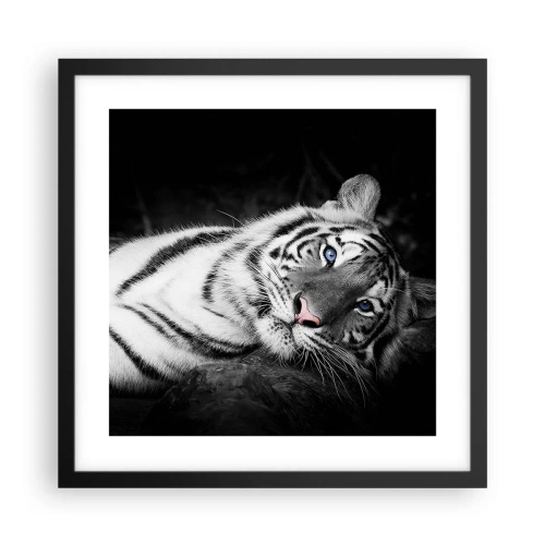 Plakát v černém rámu - Divočina a klid - 40x40 cm